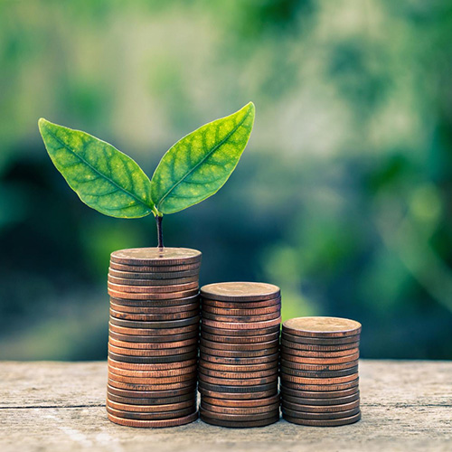 Scalabilty Capital_ Growth